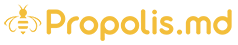 logo_minified